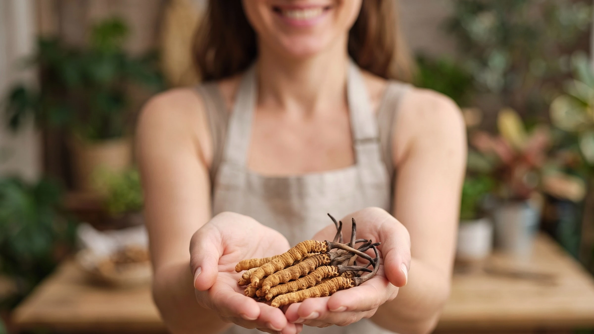 Cordyceps sinensis o niesamowitym cyklu życiowym